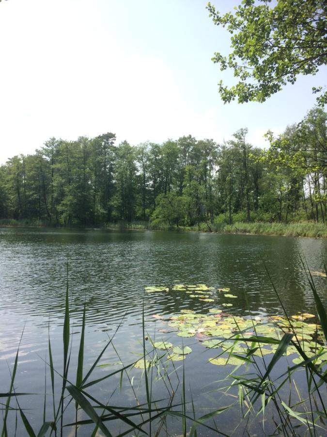 Bed and Breakfast Satnatorium Tuczno Exterior foto