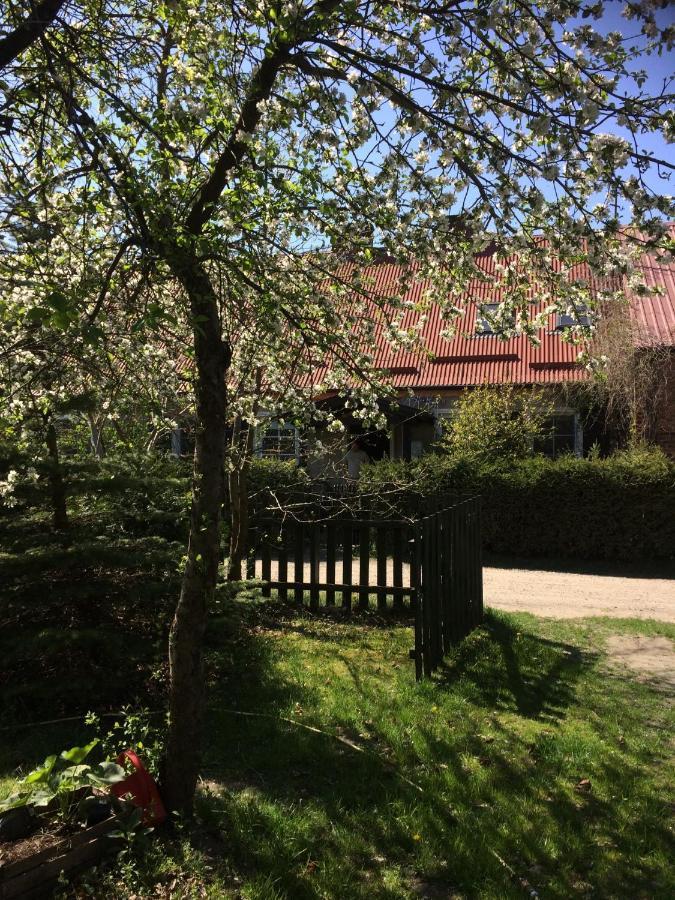 Bed and Breakfast Satnatorium Tuczno Exterior foto
