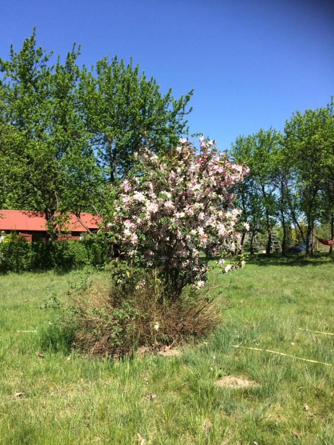 Bed and Breakfast Satnatorium Tuczno Exterior foto